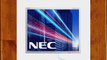 NEC MultiSync EA192M ?cran LCD TFT WLED 19 ?cran large 1680 x 1050 250 cd/m2 1000:1 4 ms 0.294