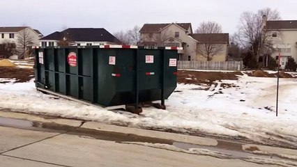 (563) 332-2555 Big Dumpster Rental Quad Cities, Illinois