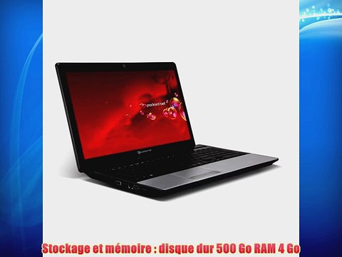 Packard Bell LE69KB-12504G50M Ordinateur portable 17 (4318 cm) AMD E1-2500 14 GHz 500 Go 4