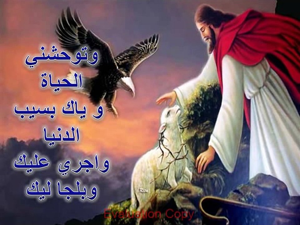 راجعلك