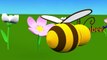 Learn shapes. Educational videos for kids babies and preschoolers. Little bee and 2d shapes part 2