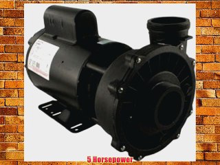 Waterway Executive Spa Pump Side Discharge 56-Frame 2 5.0Hp 230V 2-Speed 3722021-1D