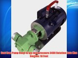 Mini-Gear Oil Pump 110v 850w 1 HP 20 gpm WCB75 WVO Fuel Transfer biodiesel