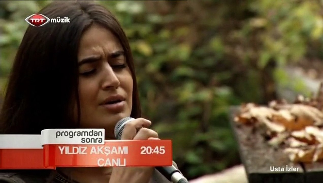04 elif buse doğan turnam (devredip gezerken) 07.01.2013 usta izler