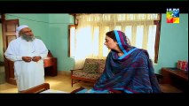 Mehram Episode 19 Full on Hum tv 22nd Jan 2015