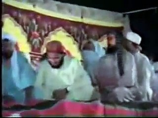 Funny Pakistani Politicians Clips 2015