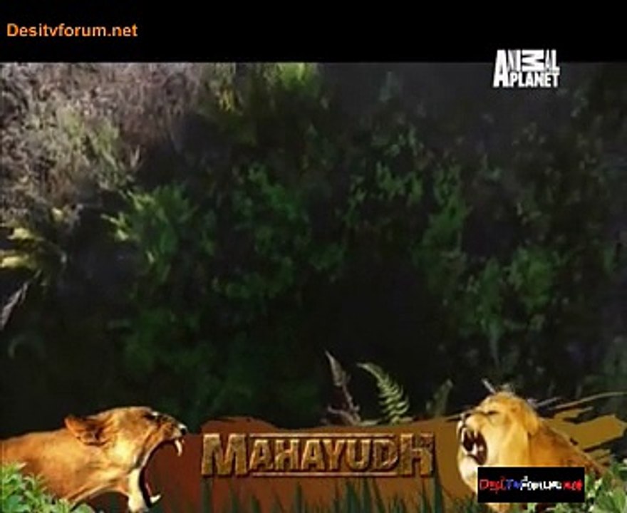 Mystery Of The Lost Islands (Animal Planet) 22nd January 2015 Video Watch Online Pt3