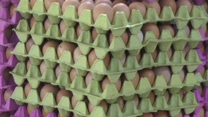 Zirai Dondan Canı Yanan Üreticinin Yüzü Yumurtayla Güldü