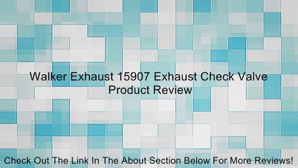 Walker Exhaust 15907 Exhaust Check Valve Review