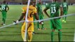 Goal Akaïchi - Zambia 1-1 Tunisia - 22-01-2015 Africa Cup of Nations