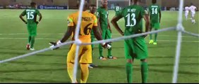 Goal Akaïchi - Zambia 1-1 Tunisia - 22-01-2015 Africa Cup of Nations