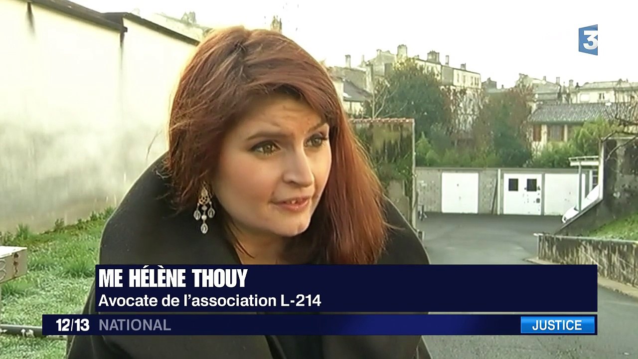 Un producteur de foie gras devant la justice pour actes de cruauté sur animaux