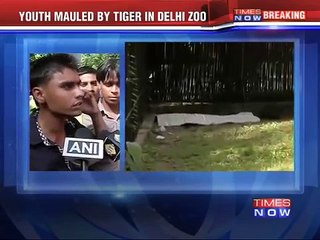 Youth attacked by Tiger in Delhi zoo