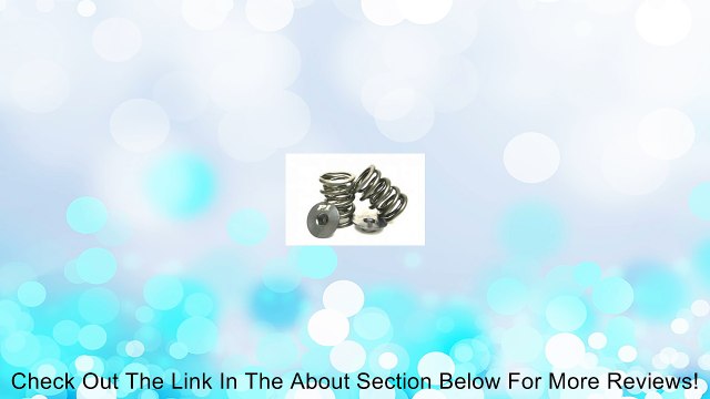 Buddy Club BC05-RSVSH-B Racing Spec Valve Spring for Honda B16/B18 Motor Review