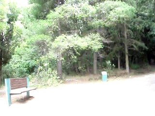 Επίσκεψη στο Τατόι(πρώην Βασιλικό κτήμα) Β μέρος.