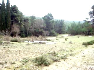 Επίσκεψη στο Τατόι (πρώην Βασιλικό κτήμα) - Γ' μέρος.