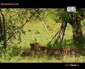 Wildwives Of Savannah Lane 22nd January 2015 Video Watch Online Pt2