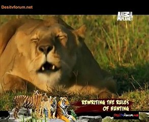 Wildwives Of Savannah Lane 22nd January 2015 Video Watch Online Pt3