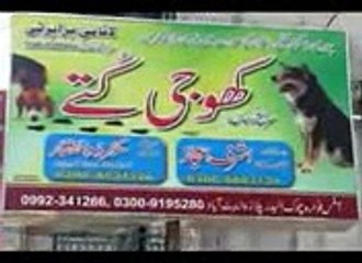 mera Pakistan Suno or enjoy karo and follow me...