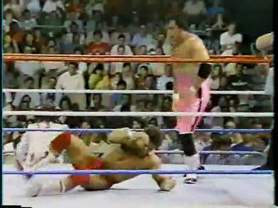 WWF Superstars 1987-09-05