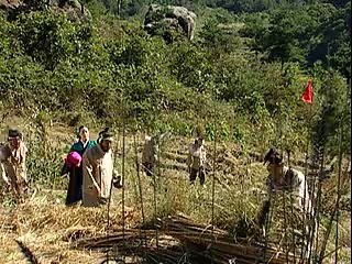 ㅋㅋㅋ, ㅍㅎㅎ,철산핸플업강추 뿌잉,구로핸플업강추19음성핸플업강추577제대로