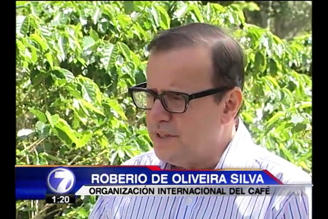 Expertos internacionales califican como crítica la afectación de la roya en la región