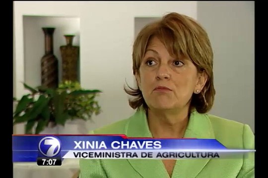 Más del 30% de cafetaleros no retiran agroquímicos para combatir la roya