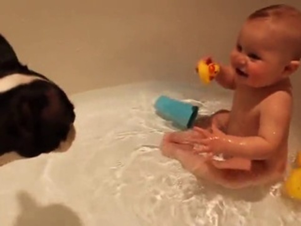 Funny Baby Boy Video - Laughing when play with his dog -
