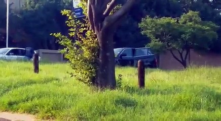 Des faux policiers font un carjacking