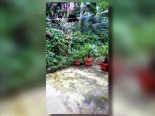 Granizo, viento y rayos afectaron varias zonas del país esta tarde