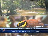 Un tico está entre los mejores fotógrafos de aves en todo el mundo