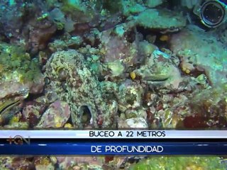 Mar Adentro: Viaje a Isla Murciélago, el paraíso de las mantas