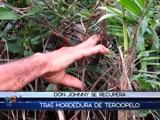 Hombre rescató a terciopelo que lo mordió para evitar que la mataran