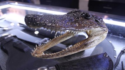 Gerber Gator Series Knives