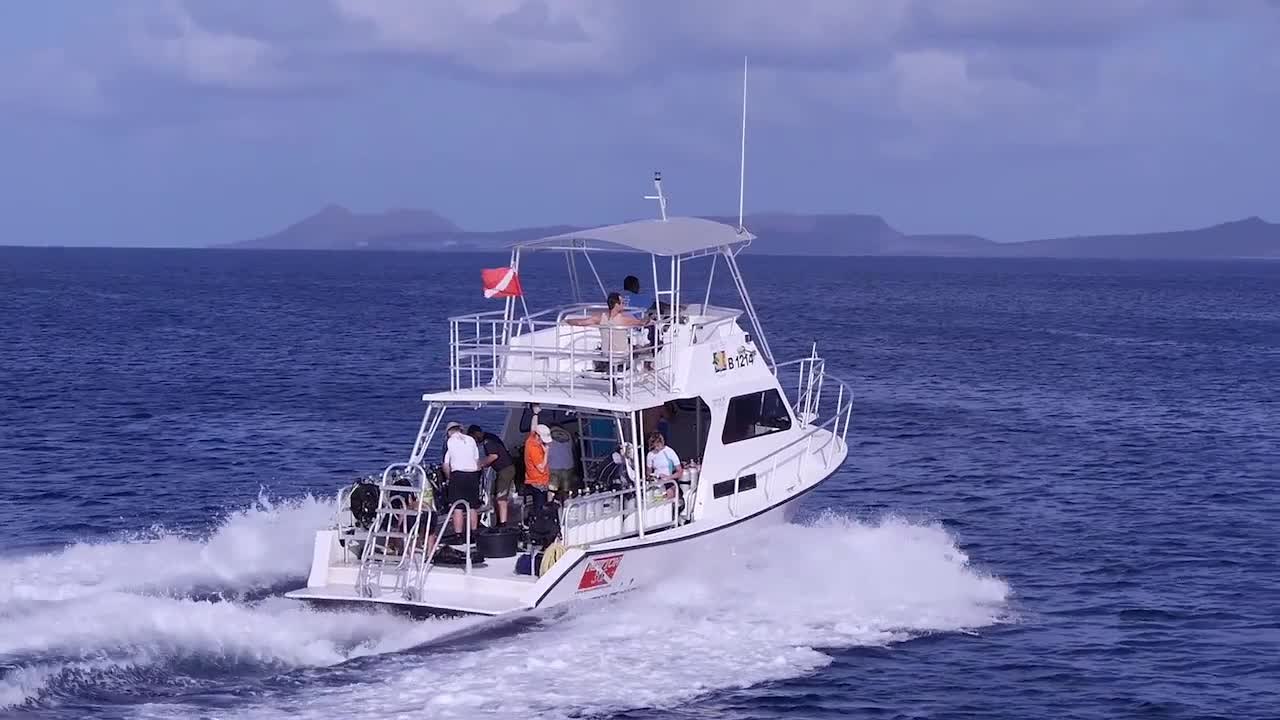 World’s Best Diving & Resorts: Buddy Dive Bonaire Bonaire Madness