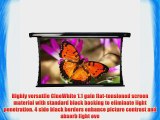 Elite Screens TE120HW2-E20 CineTension2 Electric Projector Screen (120 inch Diagonal 16:9 Ratio