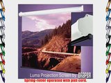 Draper Luma AV Format Manual Wall or Ceiling Mounted Projection Screen 72 x 96 120 Diagonal