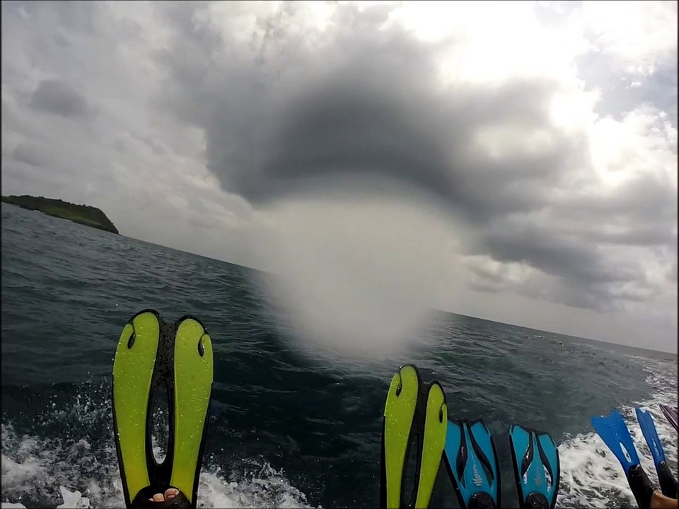 mayotte 2015