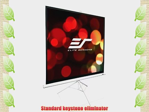 Elite Screens T113NWS1 Tripod Series Portable Projection Screen (113 Diag. 1:1 80Hx80W)