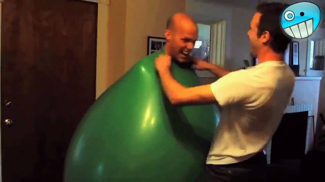 Funny Videos 2015 - Funny Fails - Funny Cat Video - Funny Cats - Funny Vines - Funny Animals