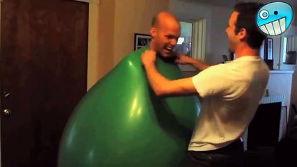 Funny Videos 2015 - Funny Fails - Funny Cat Video - Funny Cats - Funny Vines - Funny Animals