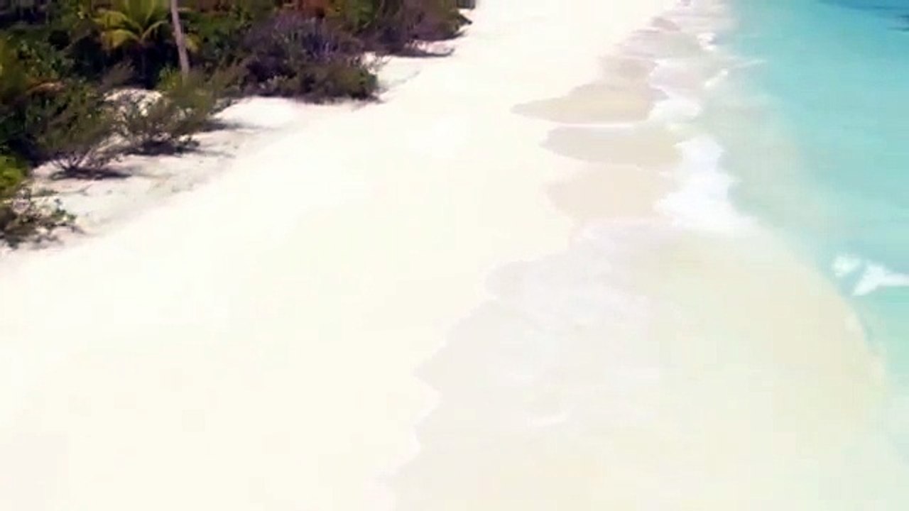 Party Bus in DC | American Eagle Limo