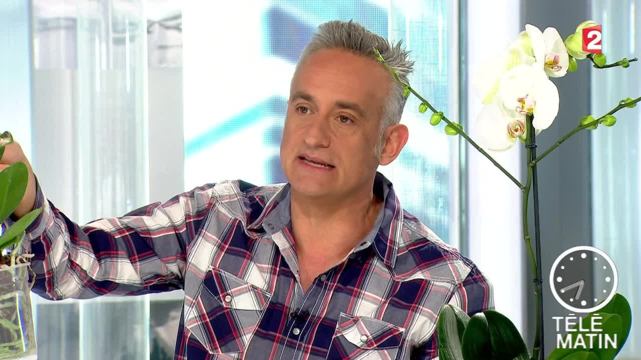 Jardin - Un soin pour les orchidées