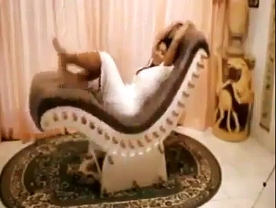 Amazing Videos_1