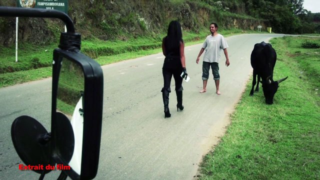 Réactions : production, acteurs, équipe technique