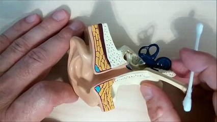 Hearing Central Safe Ear Cleaning