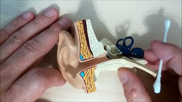 Hearing Central Safe Ear Cleaning
