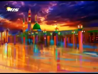 Jab Do Makrooh Shakal Logon Ne Hamare Nabi (P.B.U.H) K Jism Mubarak Chori Ka Irada Kia - hulu.pk