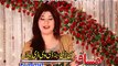 Pashto New Album + Dastan Hits + Tol AndarSher Danra Luge Sha