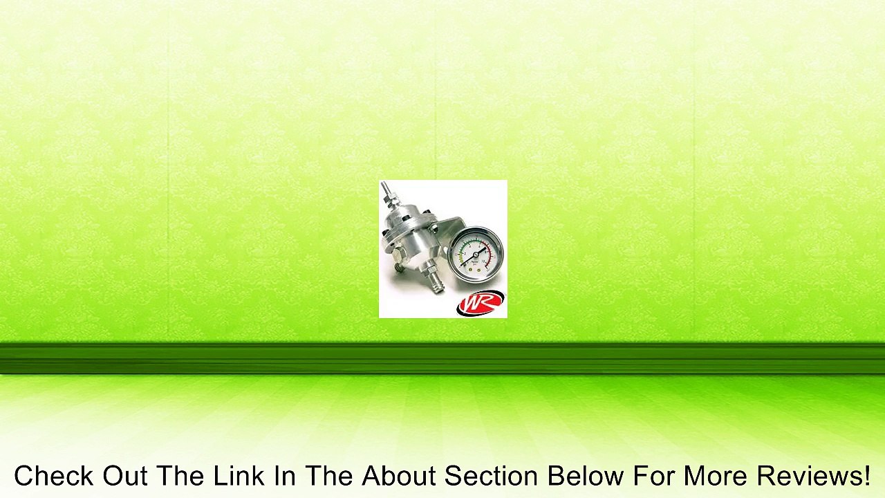 Weapon-R 958-111-105 Adjustable Fuel Pressure Regulator Gauge Review